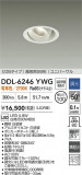 DAIKO ŵ LED˥С饤 DDL-6246YWGþʾLEDη¡ʰΡѤ䡡Ҹ -LIGHTING DEPOT-