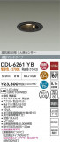 DAIKO ŵ LEDʹ󥵡ե饤 DDL-6261YBþʾLEDη¡ʰΡѤ䡡Ҹ -LIGHTING DEPOT-