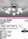 ODELIC �����ǥ�å� �����ǥꥢ OC257025NR�þ��ʾ����LED�������η�¡��ʰ����Ρ����Ѥ�����䡡�����Ҹ� -LIGHTING DEPOT-