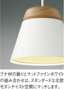 ��ħ�̿� Koizumi �������߾��� LED�ڥ����� AP51085