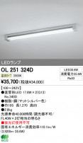 ODELIC ǥå LED١饤 OL251324D