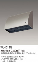 Panasonic ޡɱ祤ȥܥå WJ4613Q