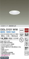 DAIKO ŵ 饤() DDL-5101WW