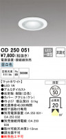 ODELIC ǥå 饤 OD250051