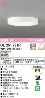 ODELIC ǥå 󥰥饤 OL251731R