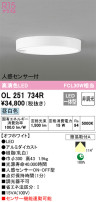 ODELIC ǥå 󥰥饤 OL251734R