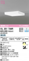 ODELIC ǥå 󥰥饤 OL251738R