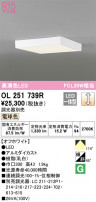 ODELIC ǥå 󥰥饤 OL251739R