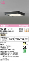 ODELIC ǥå 󥰥饤 OL251741R