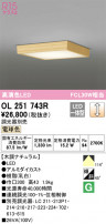 ODELIC ǥå 󥰥饤 OL251743R