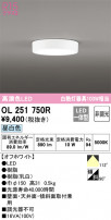 ODELIC ǥå 󥰥饤 OL251750R