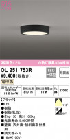 ODELIC ǥå 󥰥饤 OL251753R