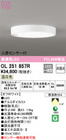 ODELIC ǥå 󥰥饤 OL251857R