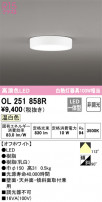 ODELIC ǥå 󥰥饤 OL251858R