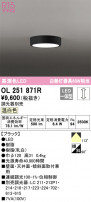 ODELIC ǥå 󥰥饤 OL251871R