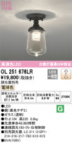 ODELIC ǥå 󥰥饤 OL251676LR