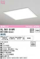 ODELIC ǥå ١饤 XL501019R