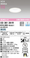 ODELIC ǥå LED 饤 OD361291R