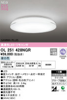 ODELIC ǥå LED 󥰥饤 OL251428NGR