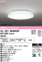 ODELIC ǥå LED 󥰥饤 OL251584NGR