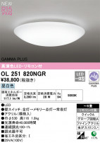 ODELIC ǥå LED 󥰥饤 OL251820NGR