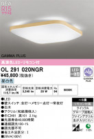 ODELIC ǥå LED 󥰥饤 OL291020NGR