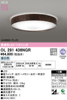 ODELIC ǥå LED 󥰥饤 OL291436NGR