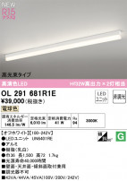 ODELIC ǥå LED ١饤 OL291681R1E