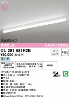 ODELIC ǥå LED ١饤 OL291681R2B