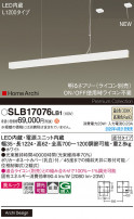 Panasonic ڥ SLB17076LB1