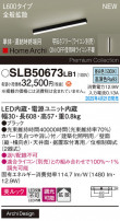 Panasonic ۲ SLB50673LB1