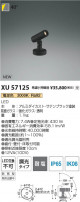 Koizumi ߾ LEDƥꥢݥåȥ饤 XU57125