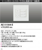 Koizumi ߾ 饤ȥȥ AE51504E