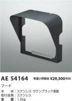 Koizumi �������߾��� �ա��� AE54164