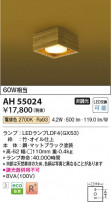 Koizumi ߾ LED AH55024