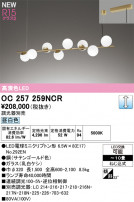 ODELIC �����ǥ�å� �����ǥꥢ OC257259NCR