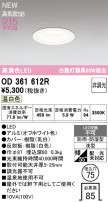ODELIC �����ǥ�å� �Х��롼��饤�� OD361612R