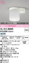 ODELIC �����ǥ�å� ����������󥰥饤�� OL013380NR