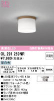 ODELIC �����ǥ�å� ����������󥰥饤�� OL291269NR