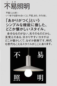 Panasonic  HEA1002E ̿3