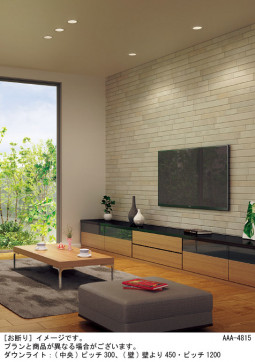 Panasonic ������饤�� LSEB9502KLB1 �̿�1