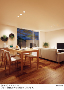 Panasonic ������饤�� LSEB5300LQ1 �̿�4