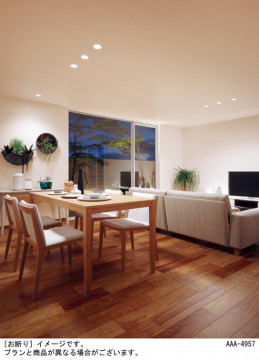 Panasonic ������饤�� LSEB5300LQ1 �̿�5