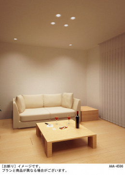 Panasonic ������饤�� LSEB5301LQ1 �̿�3