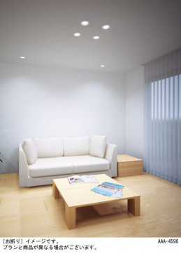 Panasonic ������饤�� LSEB5301LQ1 �̿�5