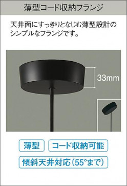 |DAIKO ŵ ڥ DPN-40846Y