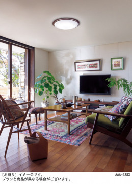 Panasonic ������󥰥饤�� LGC31149K �̿�1