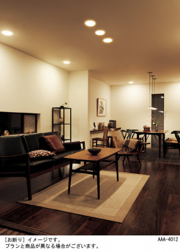 Panasonic ������饤�� LGD1210NKLB1 �̿�3