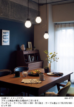 Panasonic �ڥ����� LGB11059BCE1 �̿�1