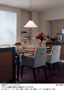 Panasonic �ڥ����� LGB15096 �̿�2